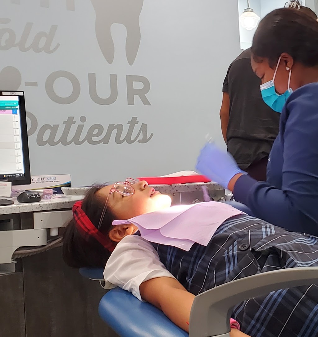 Harp Pediatric Dentistry - Palm Harbor | 31067 US Hwy 19 N, Palm Harbor, FL 34684, USA | Phone: (727) 333-9333