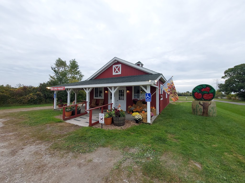 Plymouth Orchards Red Shed Market | 10260 Ann Arbor Rd, Plymouth, MI 48170, USA | Phone: (734) 414-0366