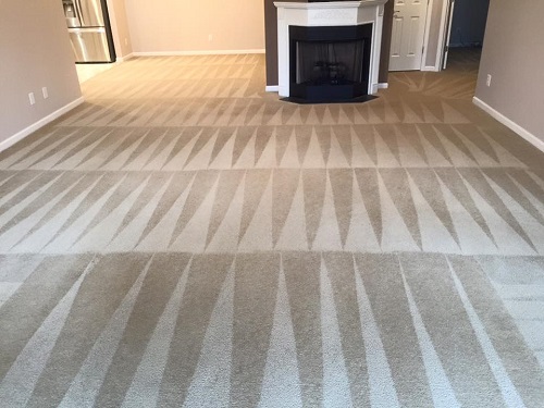 Green Carpet Cleaning Grand Prairie | 1000 N Carrier Pkwy, Grand Prairie, TX 75050, USA | Phone: (214) 301-3659