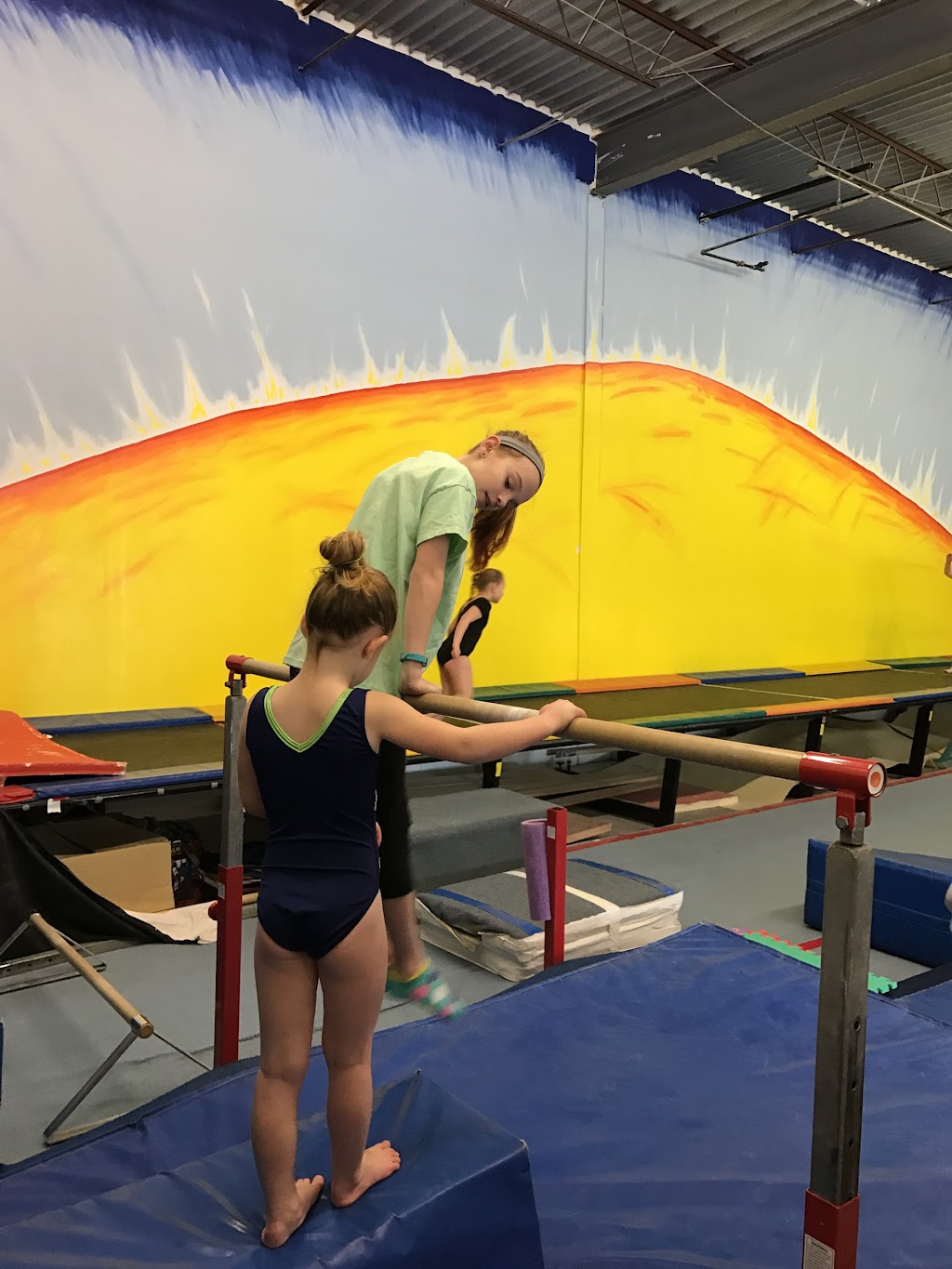 Skymax Gymnastics | 16241 Westwoods Business Park, Ellisville, MO 63021, USA | Phone: (636) 227-6949