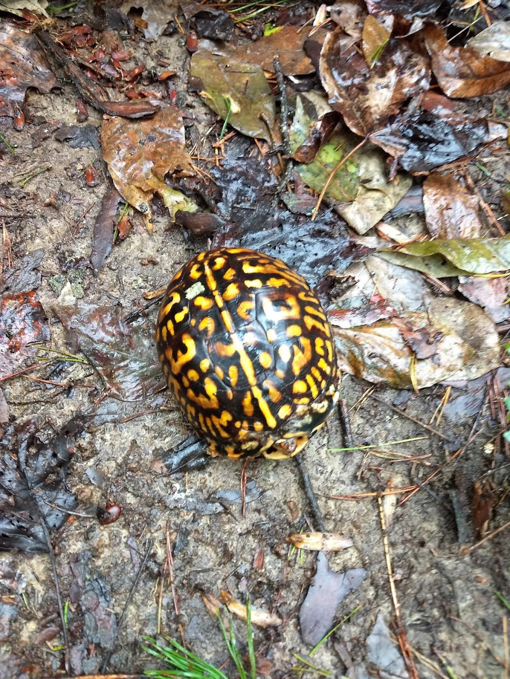 Shallow Ford Natural Area | 1955 Gerringer Mill Rd, Burlington, NC 27244, USA | Phone: (336) 270-5124