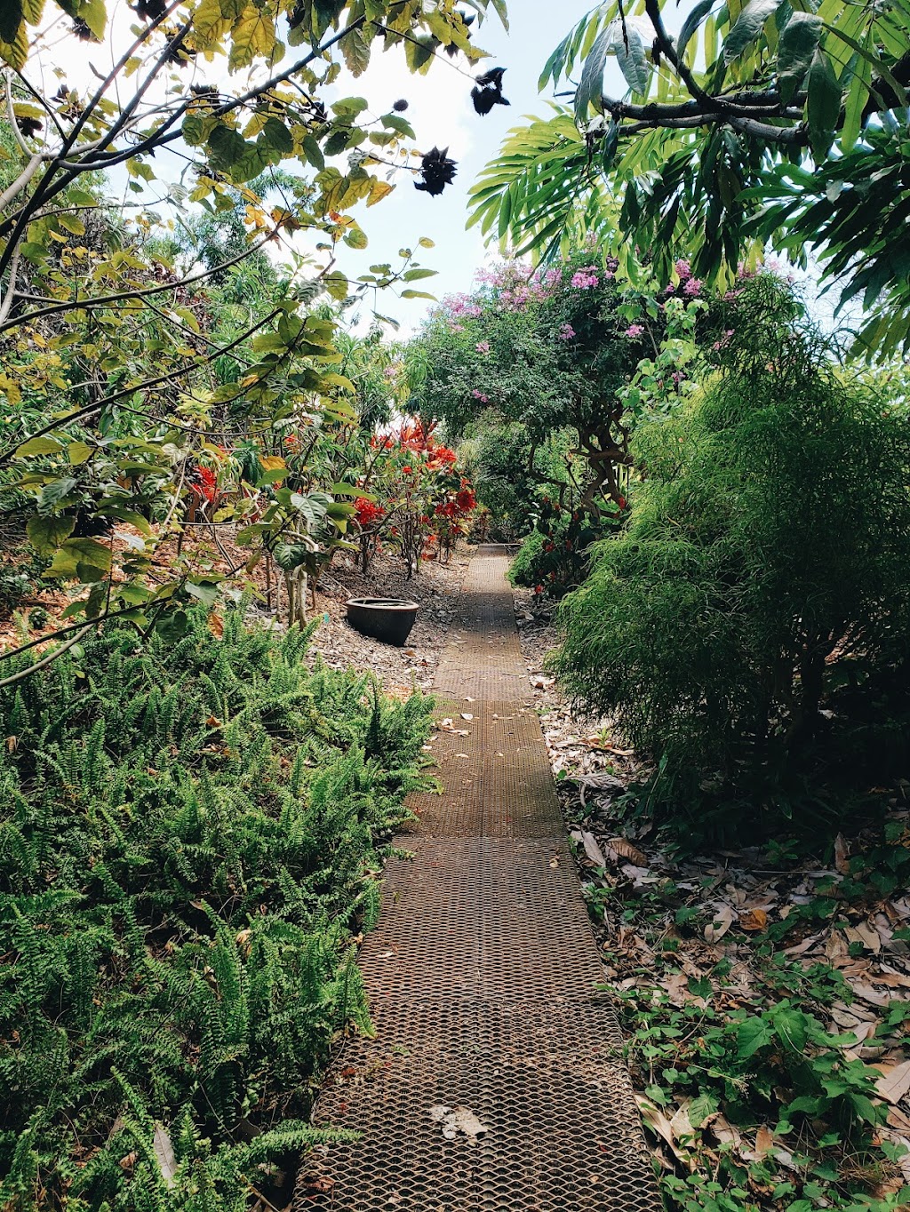 University of Hawaii Urban Garden Center | 955 Kamehameha Hwy, Pearl City, HI 96782, USA | Phone: (808) 453-6050