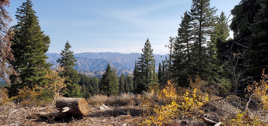 Bald Mountain Campground | Boise National Forest, Forest Road #203N, Boise, ID 83716, USA | Phone: (208) 373-4100