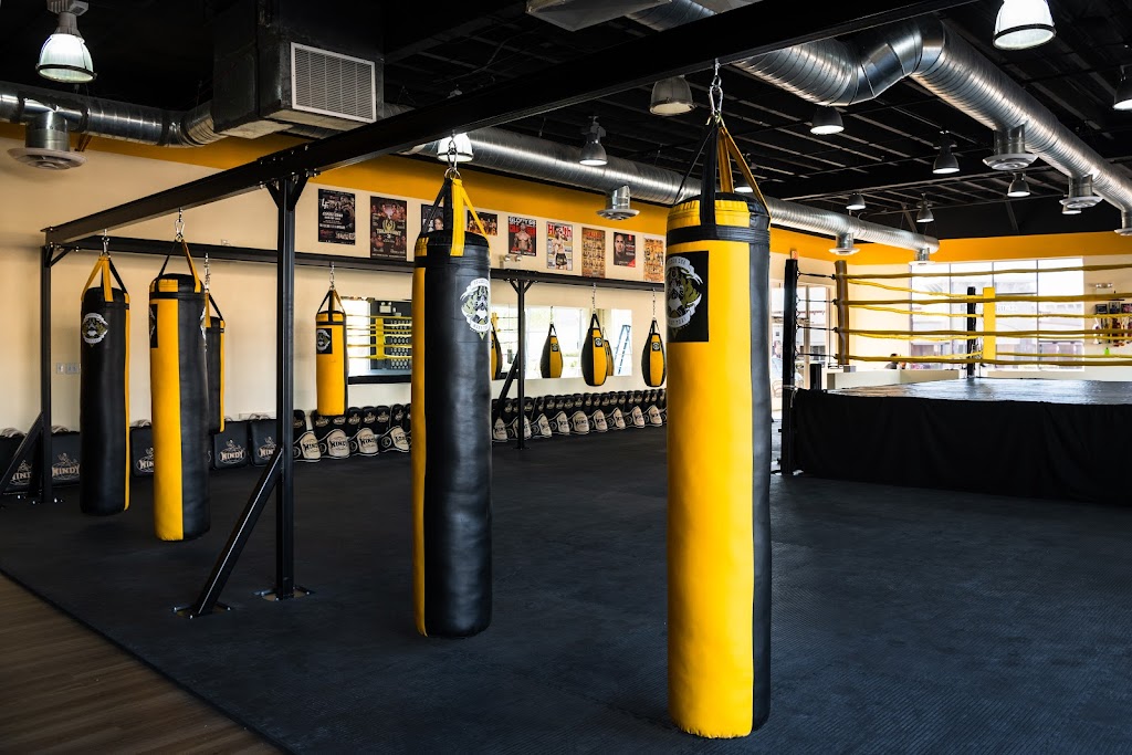 Golden Era Muay Thai | 14880 N Northsight Blvd, Scottsdale, AZ 85260, USA | Phone: (480) 597-6262