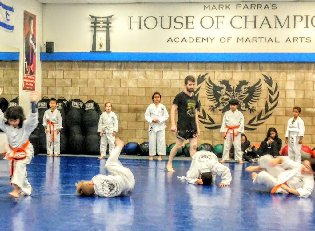 House of Champions Academy of Martial Arts | 17228 Saticoy St, Van Nuys, CA 91406, USA | Phone: (818) 996-7180