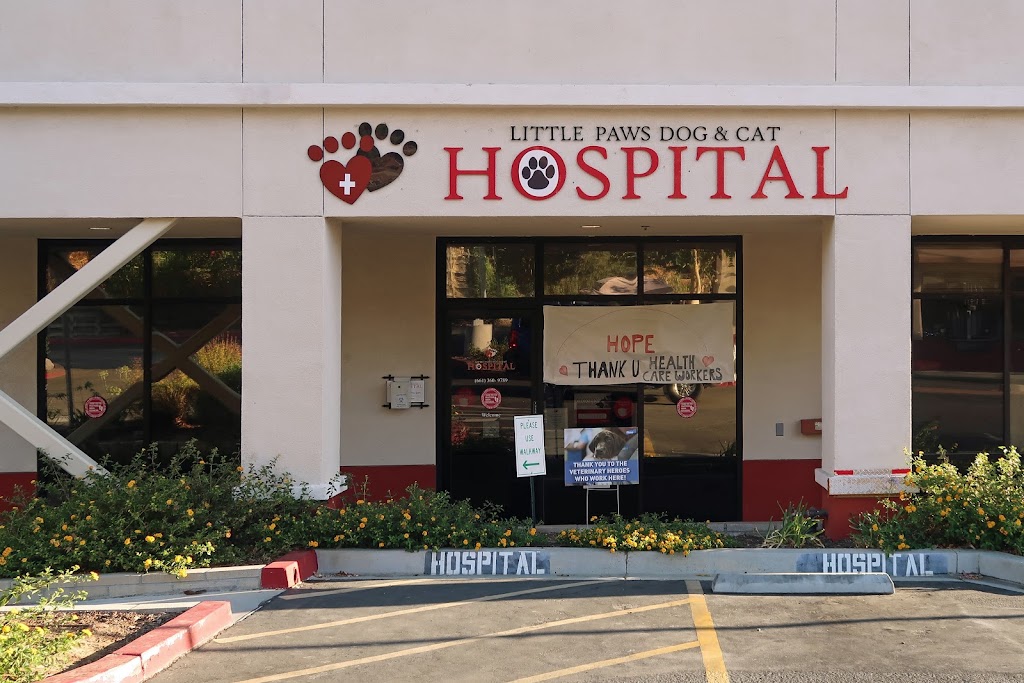 Little Paws Dog & Cat Hospital | 18560 Via Princessa, Santa Clarita, CA 91387, USA | Phone: (661) 360-9789