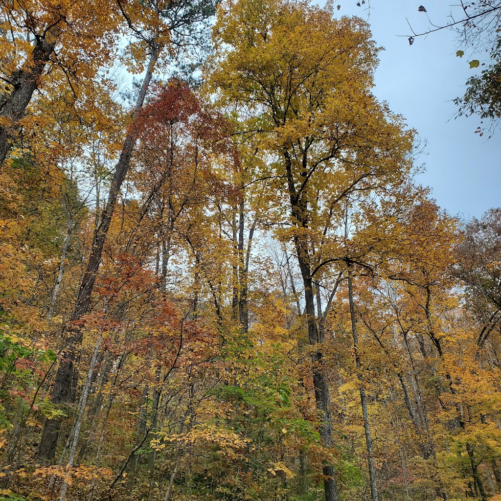 Red Hill Horse Camp | 4604 Red Hill Rd, Mt Vernon, KY 40456, USA | Phone: (606) 308-5900