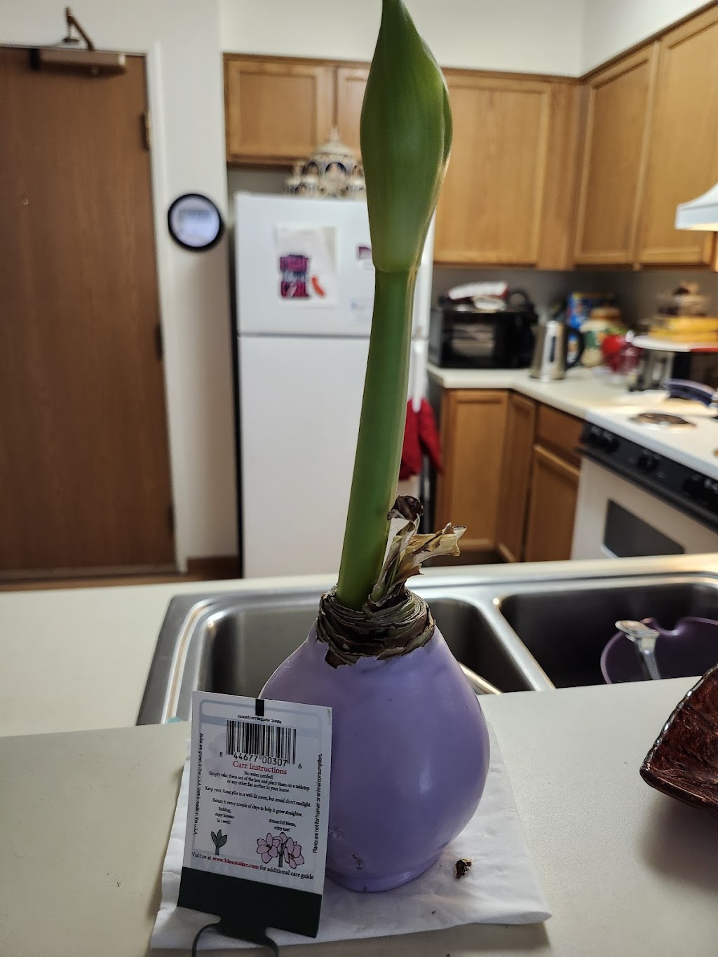 Chotikorn Khunnawat, MD | 715 E Western Reserve Rd 2nd Floor, Poland, OH 44514, USA | Phone: (330) 726-3204