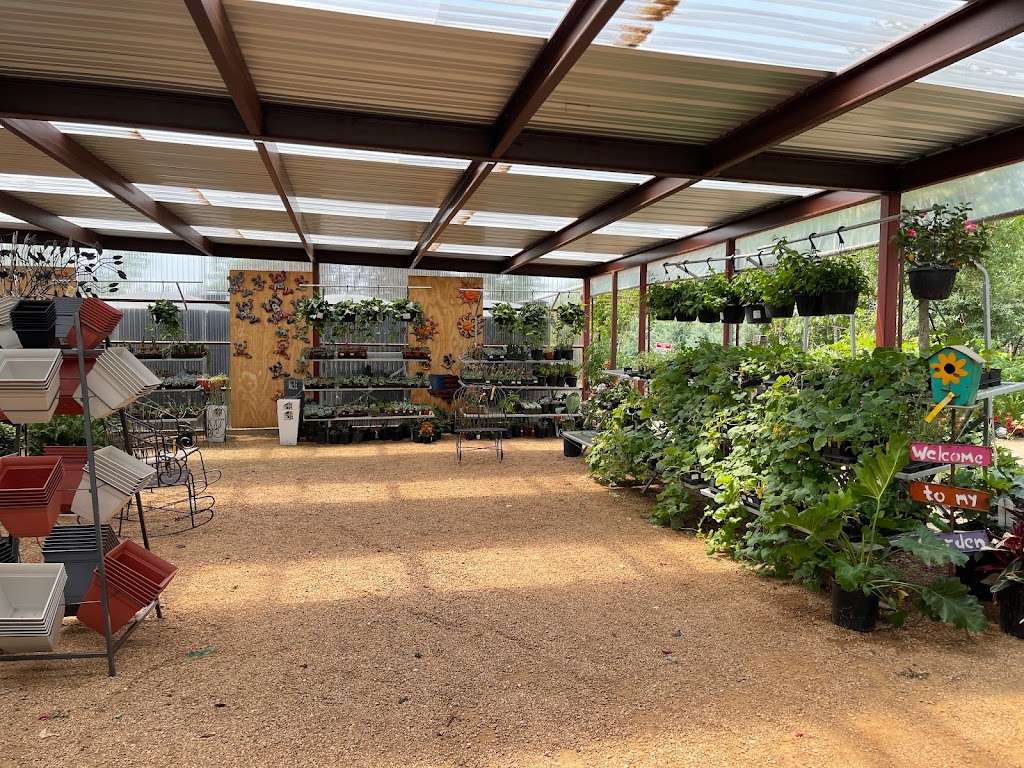 Hillside Nursery Inc | 5901 Williams Dr, Georgetown, TX 78633, USA | Phone: (512) 930-1300