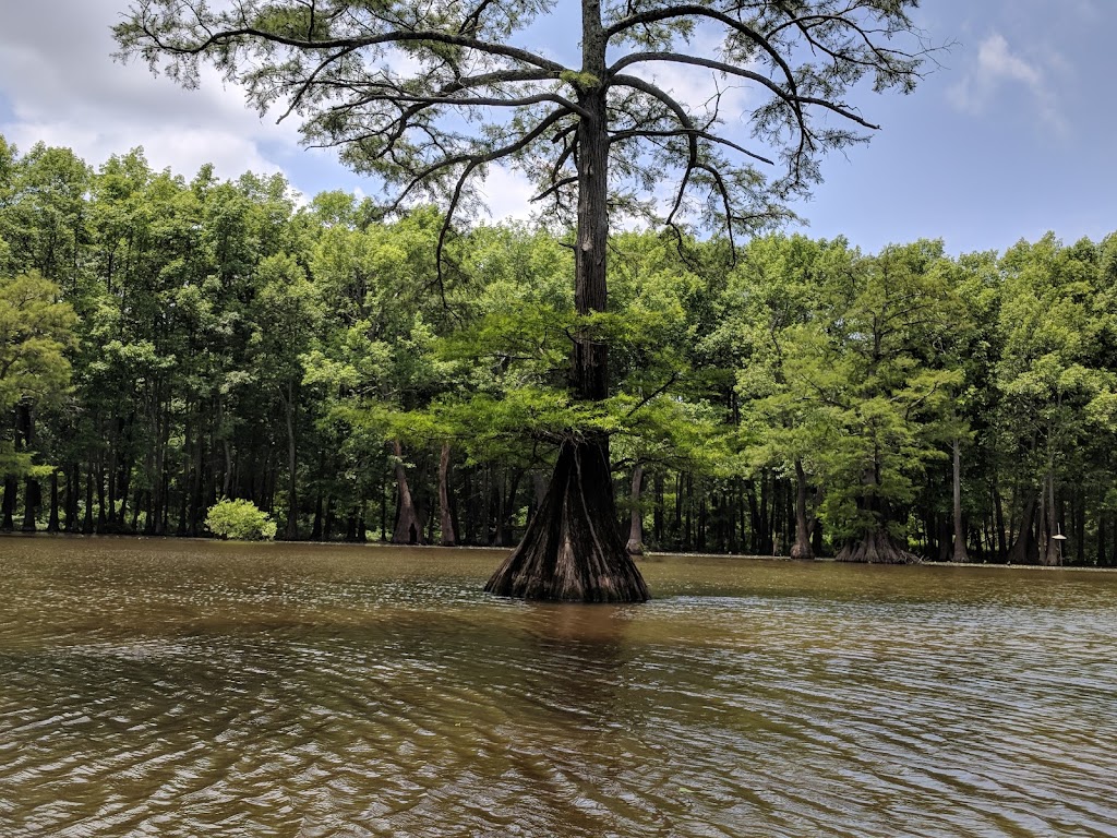 Lower Hatchie National Wildlife Refuge | 234 Fort Prudhomme Drive, Henning, TN 38041, USA | Phone: (731) 738-2296