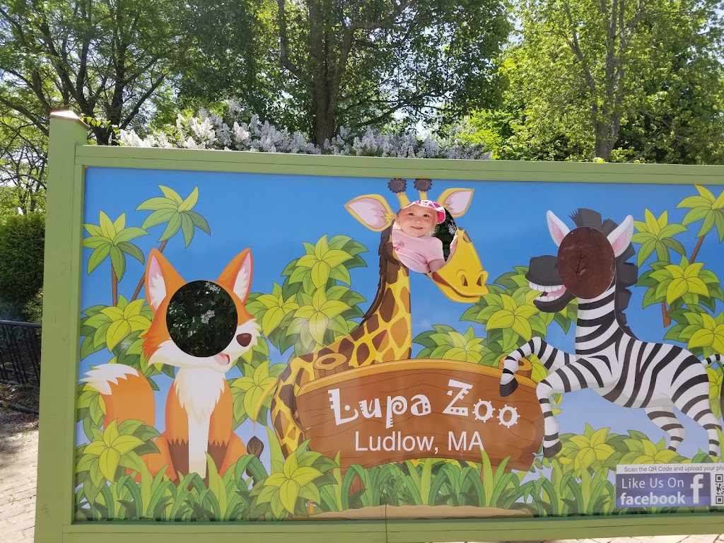 Lupa Zoo | 62 Nash Hill Rd, Ludlow, MA 01056, USA | Phone: (413) 583-8370