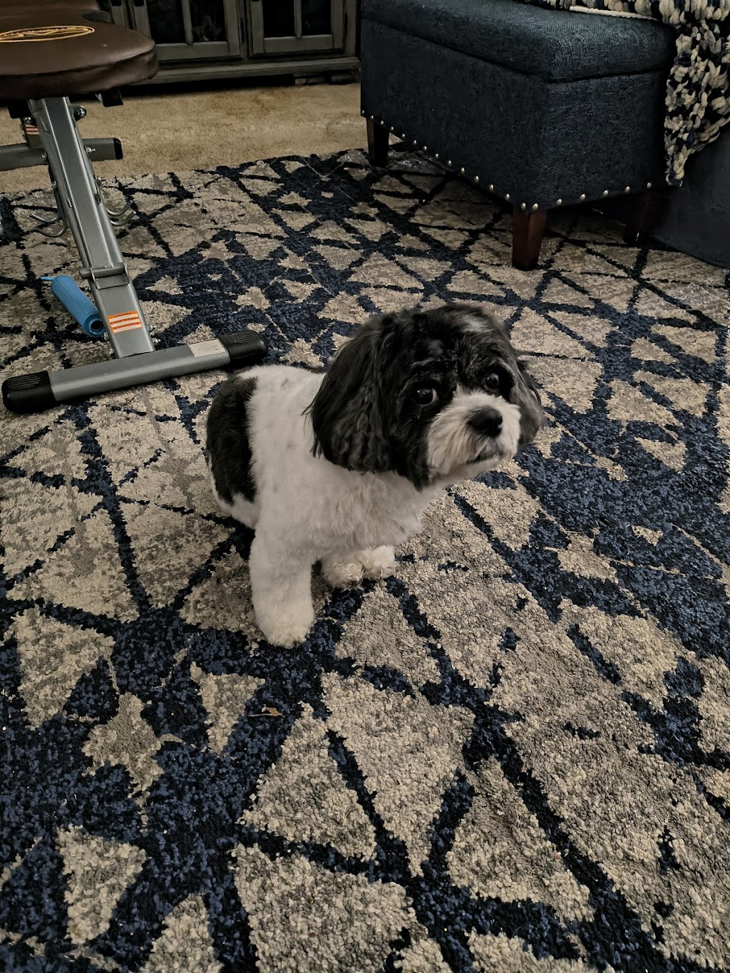 Gentle Doctor Veterinary Clinic | 4134 W County Rd 42 W, Savage, MN 55378, USA | Phone: (952) 895-8486