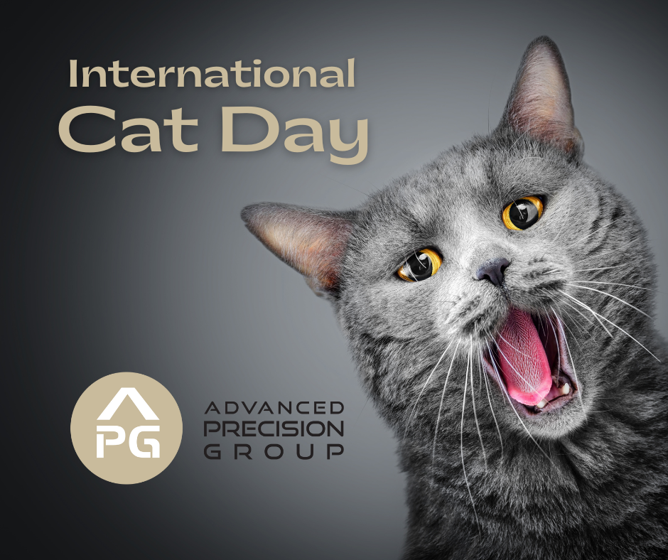 Mill Valley Duplexes | 2121 Bodega Dr, Edmond, OK 73003, USA | Phone: (405) 844-5121