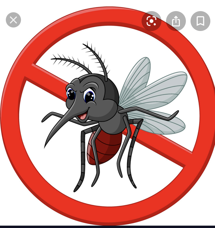 Buzz Off Mosquito Control | 11911 66th St N #417, Largo, FL 33773, USA | Phone: (727) 641-4525