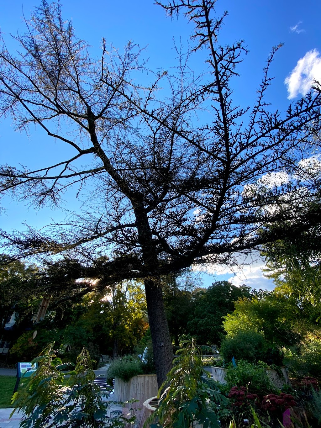 The Sensory Garden | The Homestead Building @ The Bartlett Arboretum, 107, 141 Brookdale Rd, Stamford, CT 06903, USA | Phone: (203) 322-6971