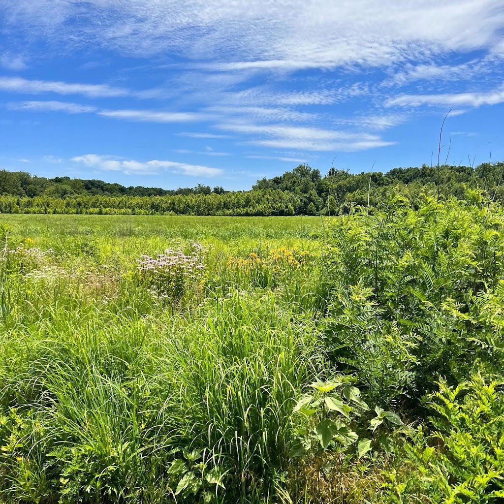 Dardenne Greenway at BaratHaven Park | BaratHaven Trail, Dardenne Prairie, MO 63368, USA | Phone: (636) 561-1718