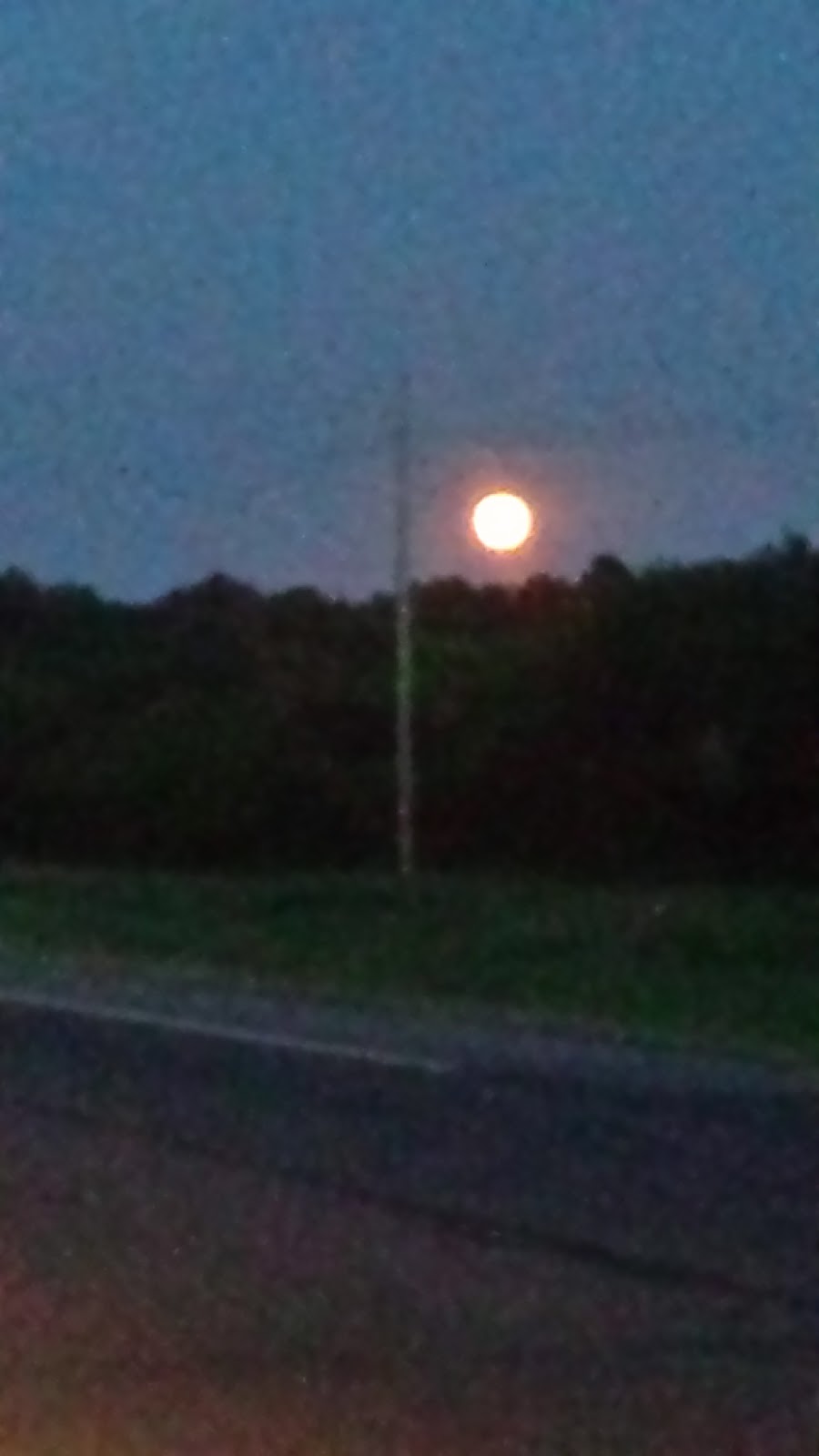 Taylors Grocery | 4524 Woodbury Pike, Murfreesboro, TN 37127, USA | Phone: (615) 895-4858