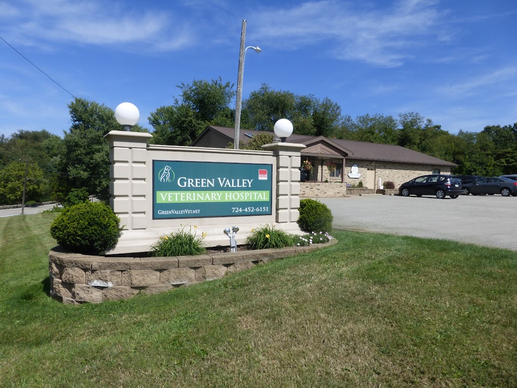 Green Valley Veterinary Hospital | 1722 PA-68, New Brighton, PA 15066, USA | Phone: (724) 452-6151