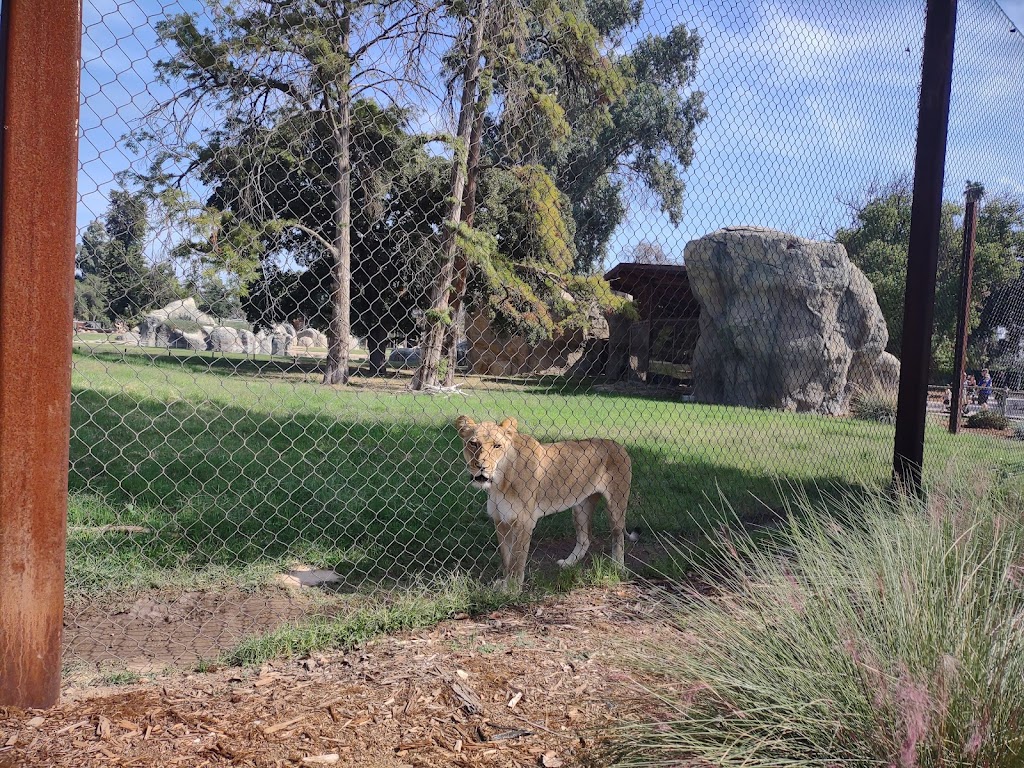 Fresno Chaffee Zoo | 894 W Belmont Ave, Fresno, CA 93728, USA | Phone: (559) 498-5910