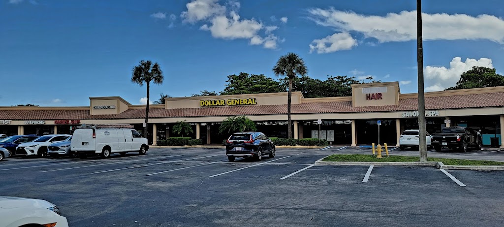 Dollar General | 18660 NW 67th Ave, Hialeah, FL 33015, USA | Phone: (786) 584-8313