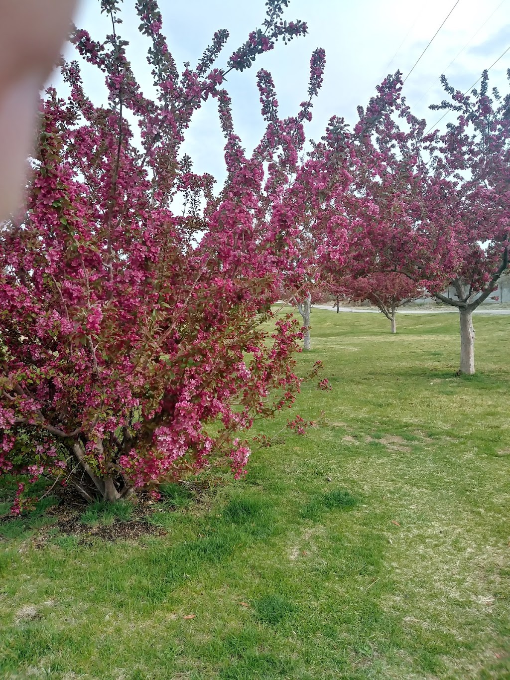 Casa Grande Linear Park | Albuquerque, NM 87111, USA | Phone: (505) 452-5200