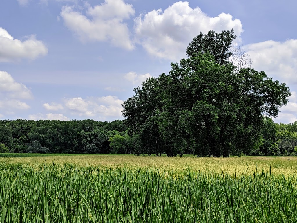 Wood Lake Nature Center | 6710 Lake Shore Dr S, Richfield, MN 55423, USA | Phone: (612) 861-9365