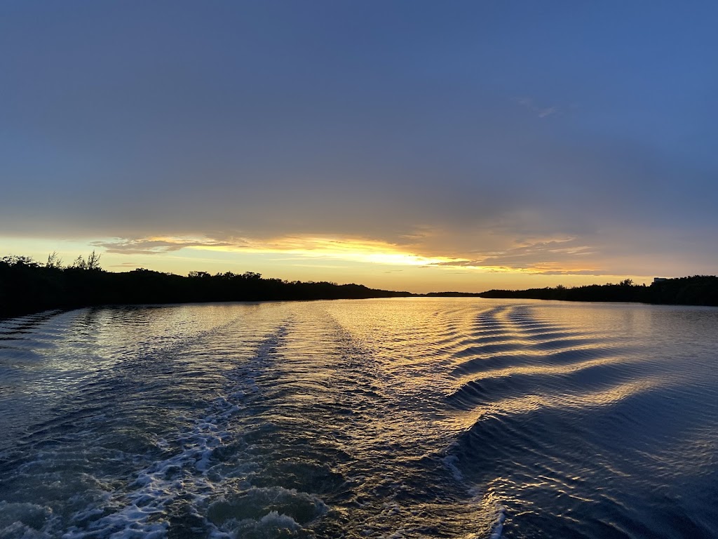 Low Tide Tours Tiki Boat | 8865 Midnight Pass Rd, Sarasota, FL 34242, USA | Phone: (941) 405-0045