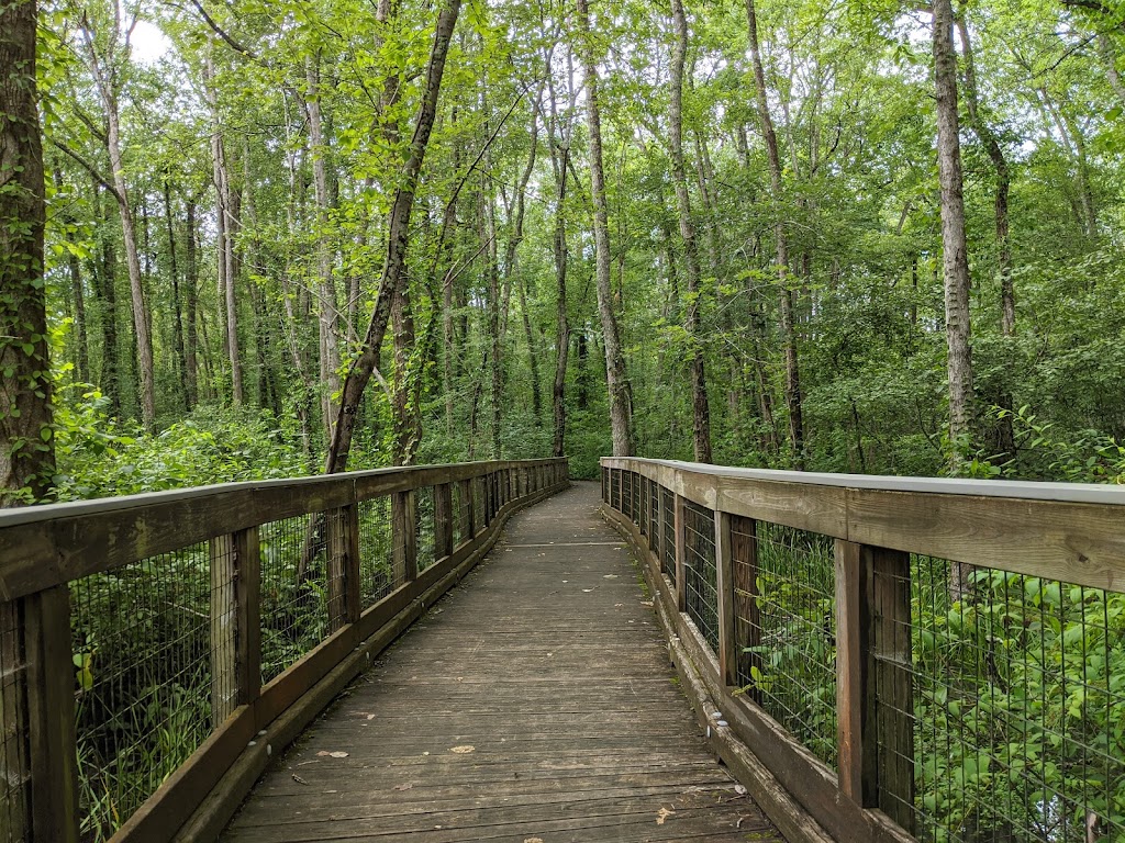 Ebenezer Swamp Ecological Preserve | Montevallo, AL 35007, USA | Phone: (205) 665-6463