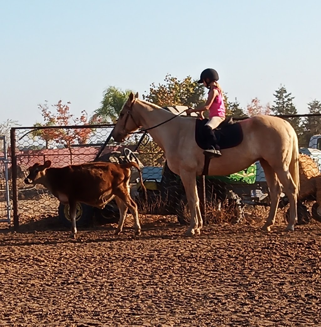 Twisted Bit Ranch | 21844 Rd 29 1/2, Madera, CA 93638, USA | Phone: (559) 931-2400