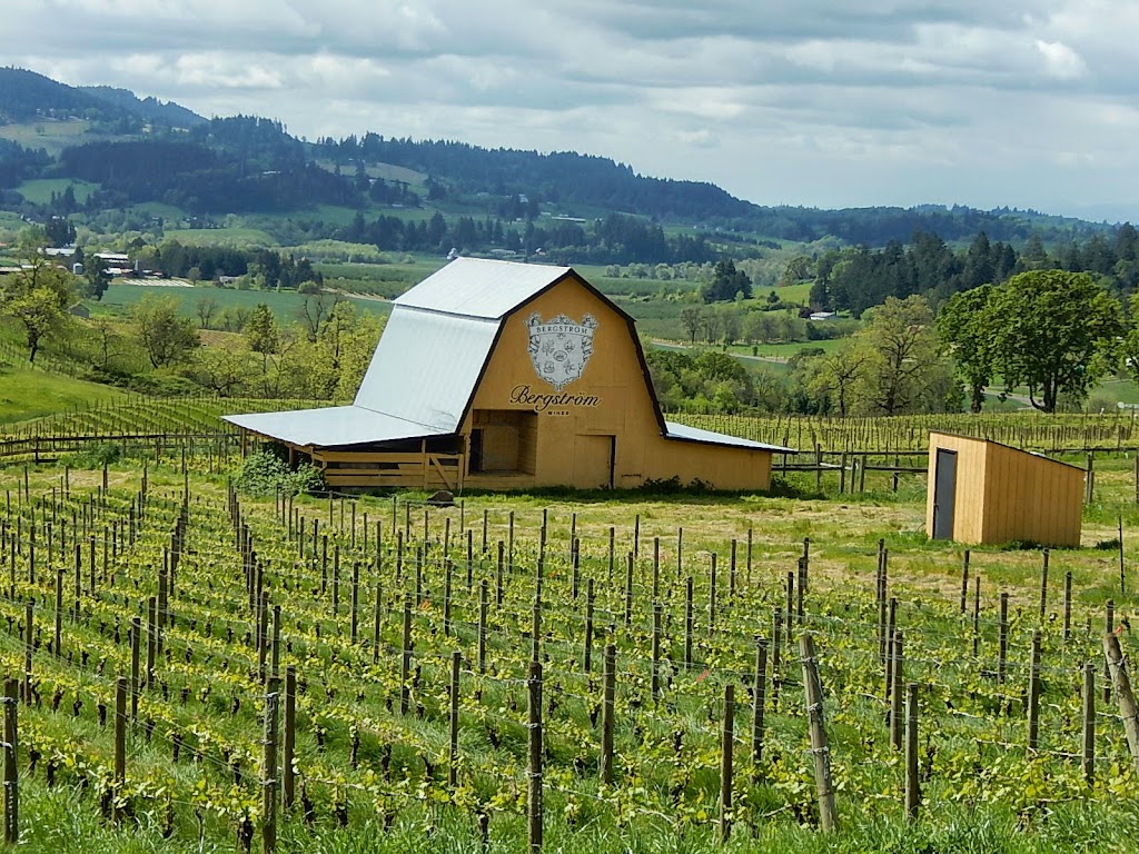 Vino Ventures Oregon Winery Tours | 6700 SW 105th Ave UNIT 104, Beaverton, OR 97008, USA | Phone: (503) 244-4653