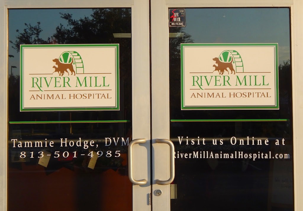 River Mill Animal Hospital - Dr. Tammie Hodge | 10936 Cross Creek Blvd, Tampa, FL 33647, USA | Phone: (813) 501-4985