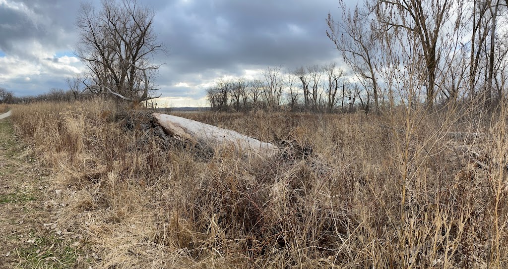 Desoto National Wildlife Refuge | 1434 316th Ln, Missouri Valley, IA 51555, USA | Phone: (712) 388-4800