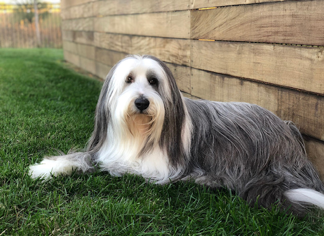 Boynton Family Dental Arts | 1901 N Webb Rd, Wichita, KS 67206, USA | Phone: (316) 685-8881