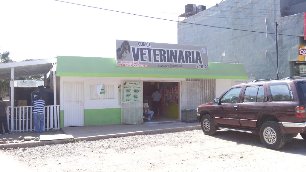 VETERINARY CLINIC Morelos | Lázarzo, 22746 Lázaro Cárdenas, B.C., Mexico | Phone: 646 155 1079