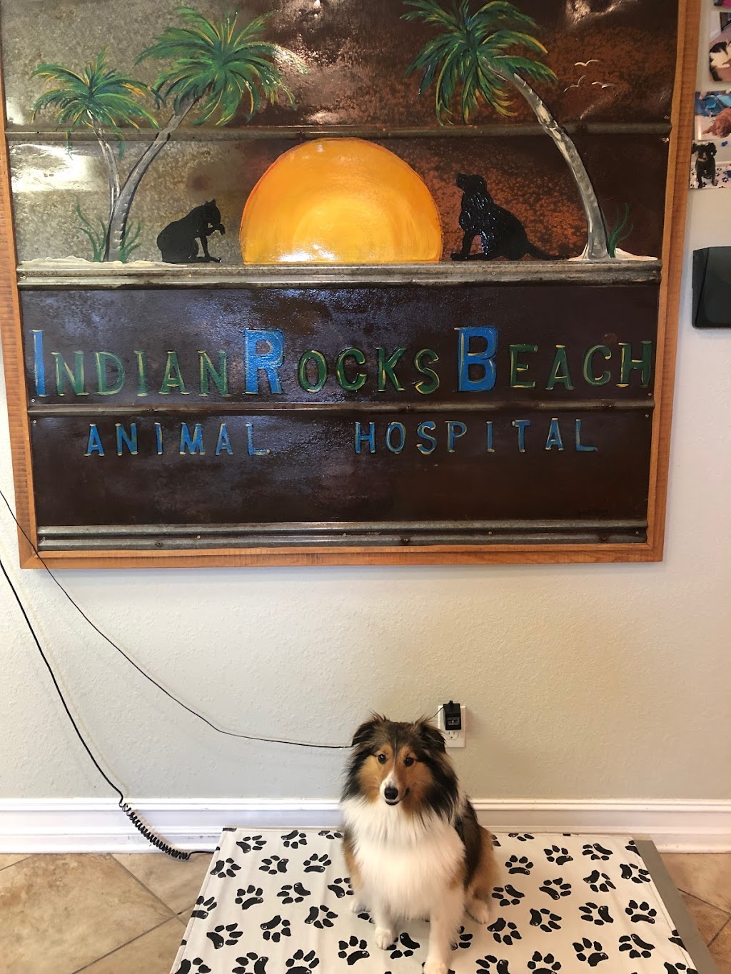 Indian Rocks Beach Animal Hospital | 12712 Indian Rocks Rd, Largo, FL 33774, USA | Phone: (727) 596-9156