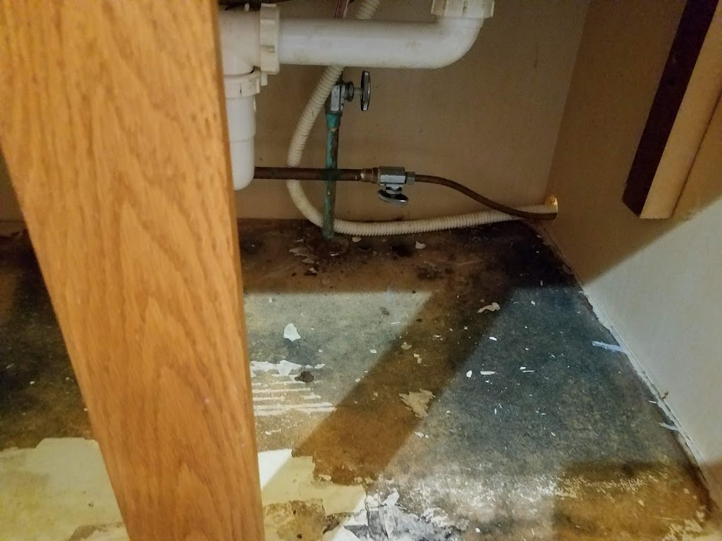 Tri State Restoration Services – Water Damage | 1353 Sunset Dr, Lawrenceburg, IN 47025, USA | Phone: (812) 539-4203