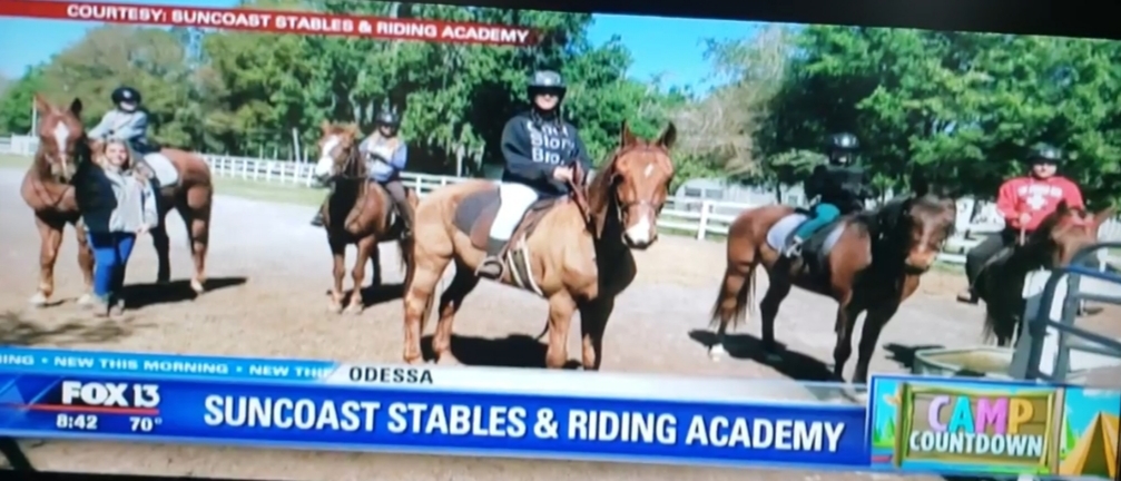 Suncoast Stables & Riding Academy | 1108 Altamont Ln, Odessa, FL 33556, USA | Phone: (813) 368-0666