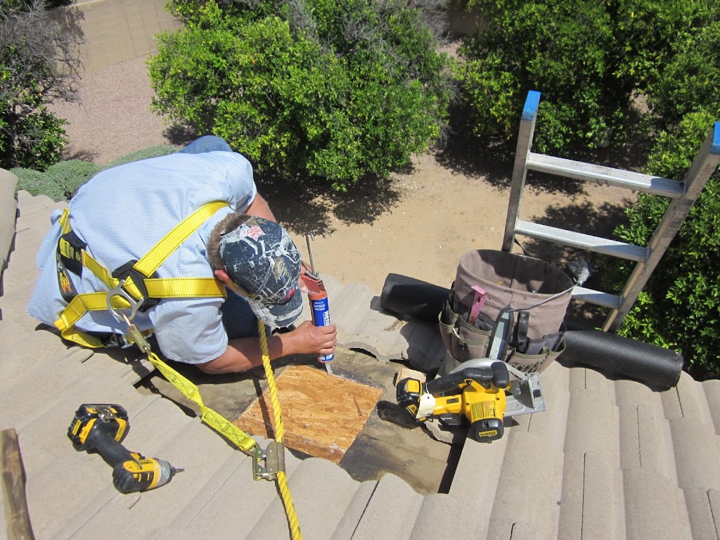 The Beekeeper Total Bee Control Inc | 4422 W Turquoise Ave, Glendale, AZ 85302, USA | Phone: (623) 587-4700