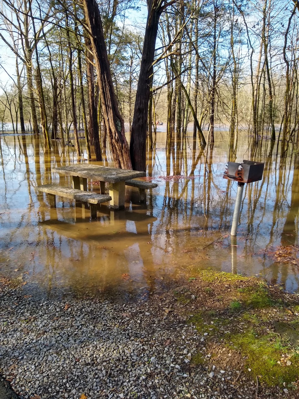 Bledsoe Creek State Park | 400 Zieglers Fort Rd, Gallatin, TN 37066, USA | Phone: (888) 867-2757