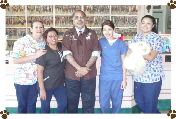 Pomona Valley Veterinary Hospital | 158 W McKinley Ave, Pomona, CA 91768 | Phone: (909) 623-2602