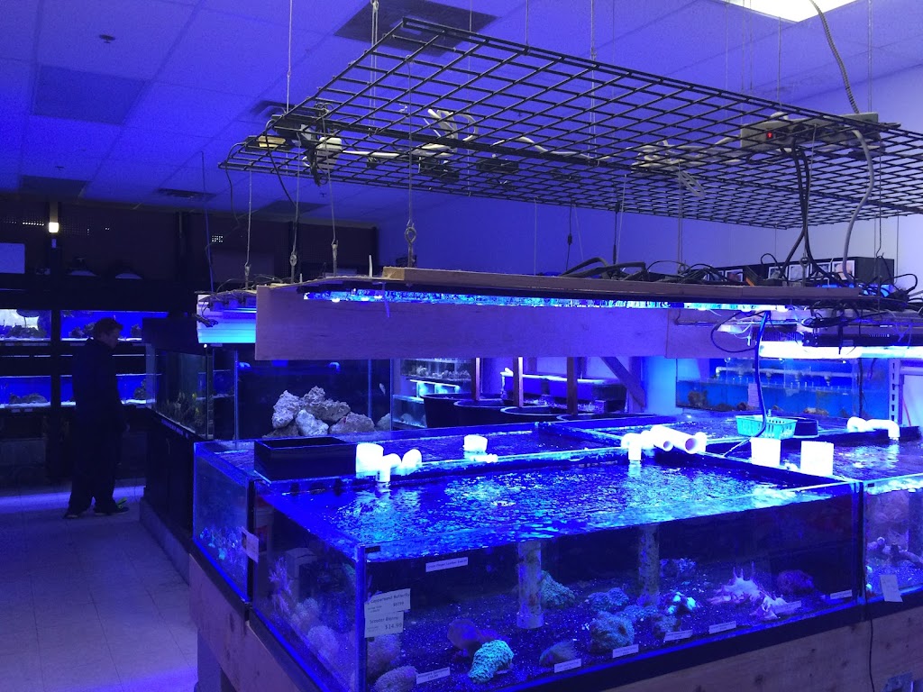 Kees Aquarium & Pets | 8190 23 Mile Rd, Shelby Township, MI 48316 | Phone: (586) 739-9140