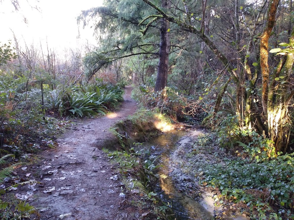 Silver Creek Riparian Zone | 1043 12th Ave SW, Puyallup, WA 98371, USA | Phone: (253) 841-4321