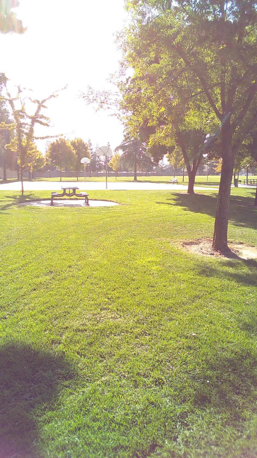 Countrystone Park | 5209 Whitestone Dr, Salida, CA 95368, USA | Phone: (209) 525-6750