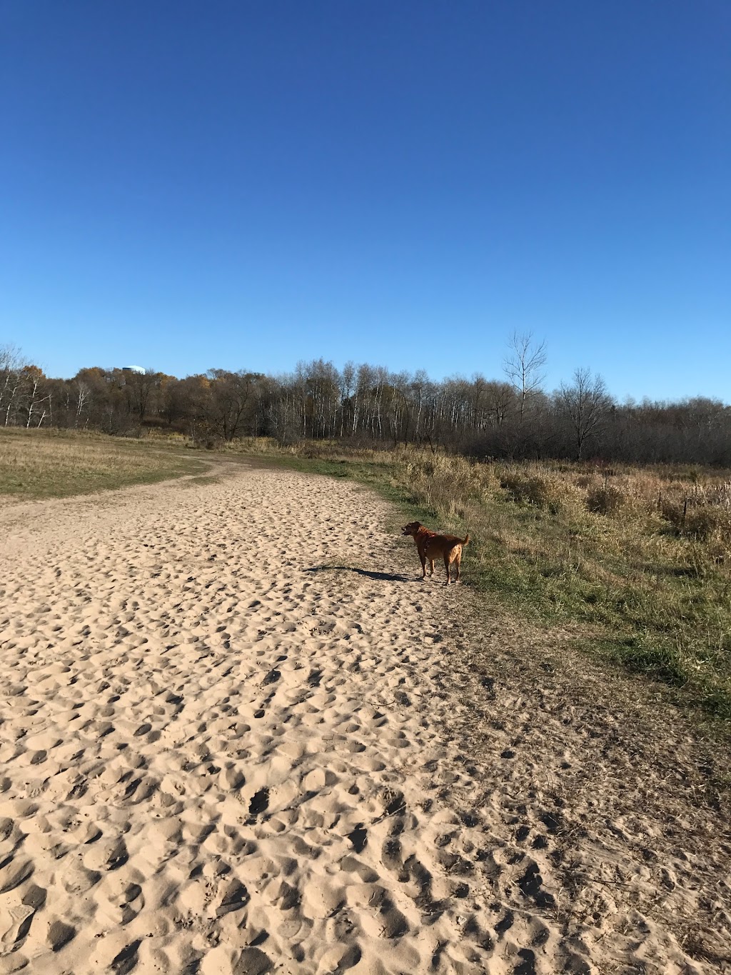 Rice Creek Off-Leash Dog Area | 5959 Lexington Ave N, Shoreview, MN 55126, USA | Phone: (651) 748-2500