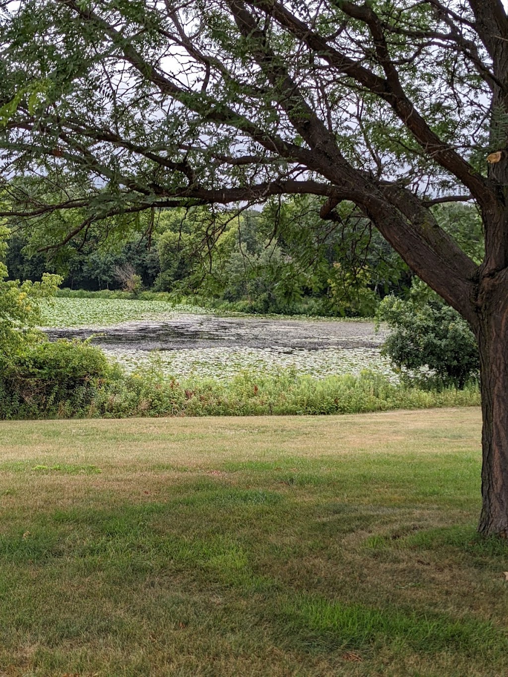 Epiphany Pond Park | 1475 106th Ave NW, Coon Rapids, MN 55433, USA | Phone: (763) 755-2880