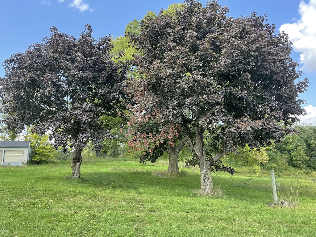 Prairie Oaks Memorial Eco Gardens | 625 Yankee Doodle Rd Suite 150, Eagan, MN 55121, USA | Phone: (651) 300-9549