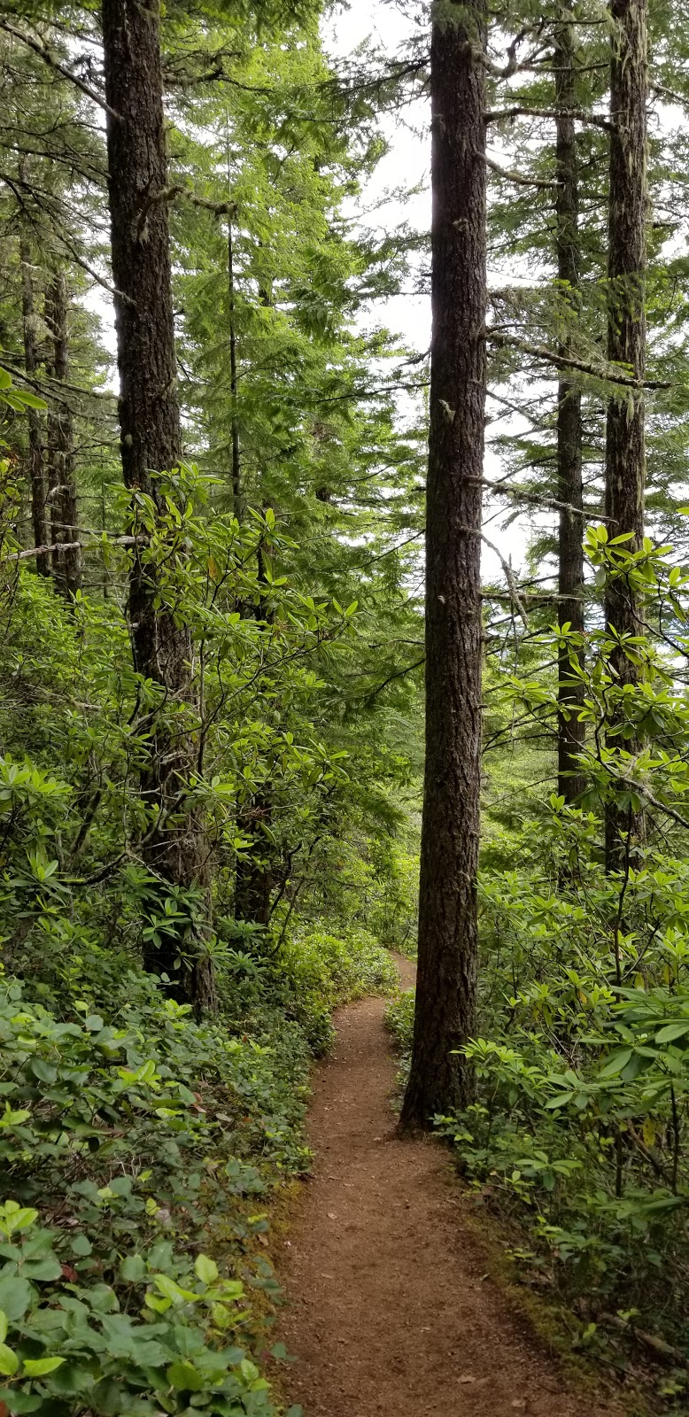 Mt. Walker Lower Trailhead | Quilcene, WA 98376, USA | Phone: (360) 765-2200