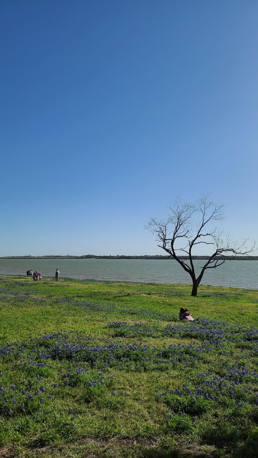 Meadow Nature Area | 1901 Laneview Dr, Ennis, TX 75119, USA | Phone: (972) 878-4748