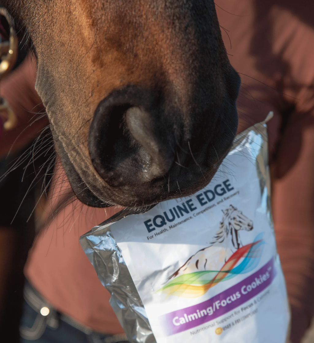 T.H.E. Equine Edge | 32963 Calle Perfecto, San Juan Capistrano, CA 92675, USA | Phone: (888) 422-8398