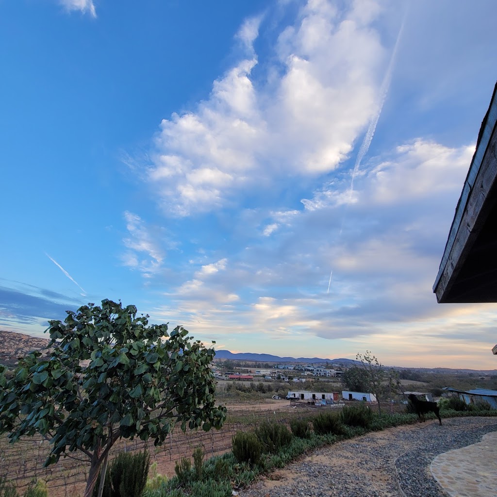 Cabañas Mora | 22755 Valle de Guadalupe, 22755 Ensenada, B.C., Mexico | Phone: 646 341 0763